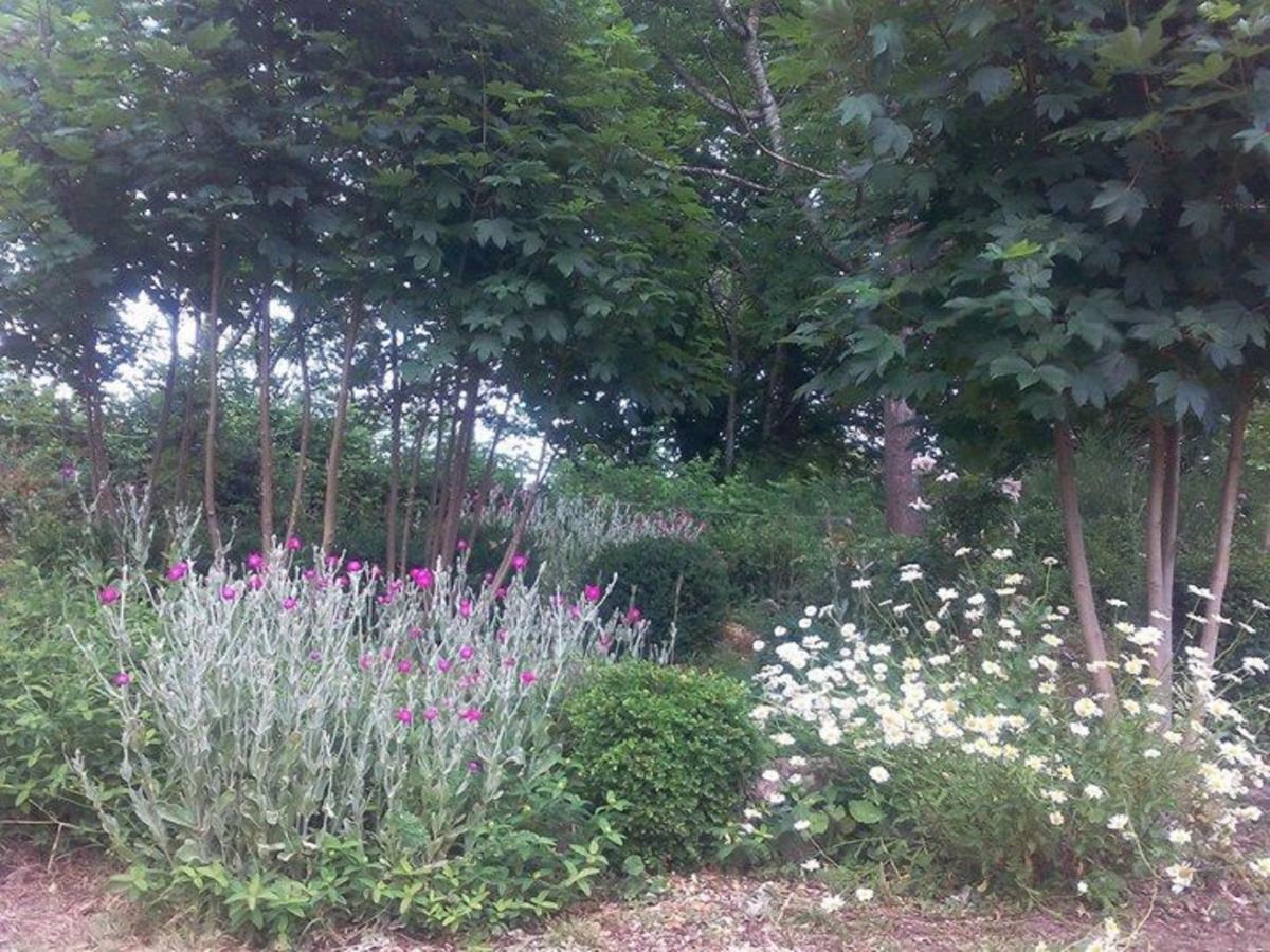 Un petit coin de paradis Gluiras Extérieur photo